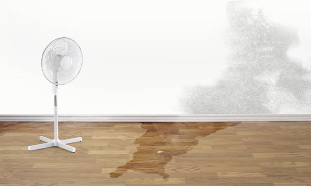 Best Water damage restoration near me  in University At Buffalo, NY